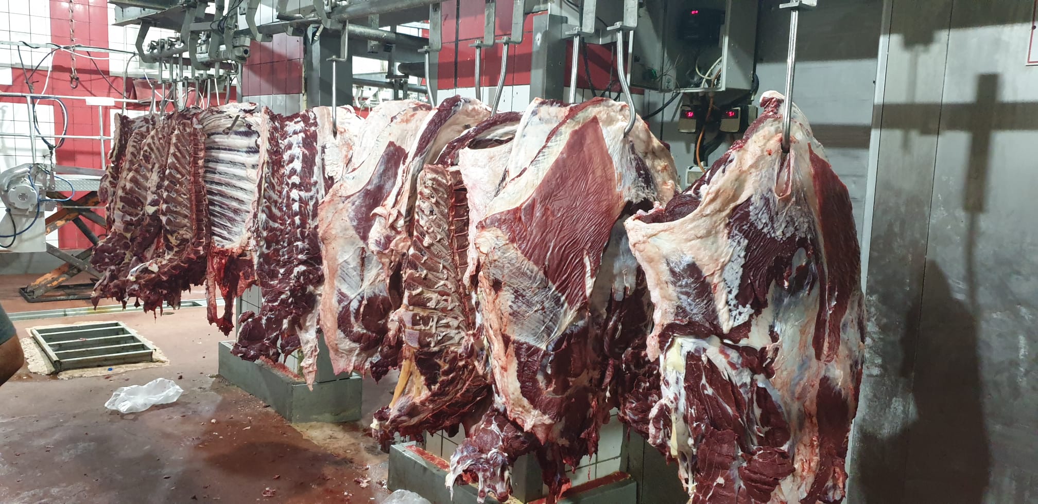 WhatsApp Image 2021-07-20 at 9.34.15 PM (2).jpeg